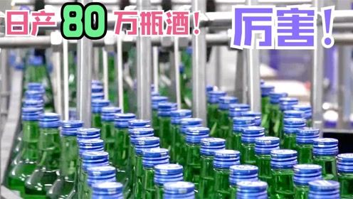 揭秘高效产线 日灌80万瓶酒背后的工业奇迹